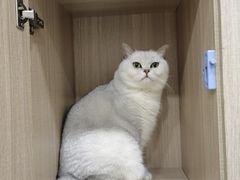 -拳盛时代拳击俱乐部(北京路店)