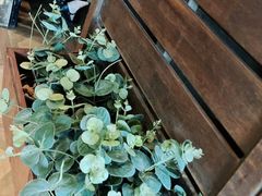 -前海沿·青岛菜(大拇指广场石老人店)