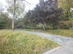 -紫竹院公园冰场