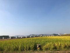 -光明小镇欢乐田园