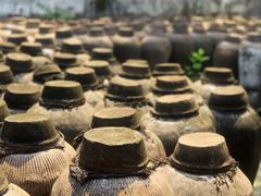 -乌镇东栅景区