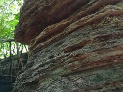 景点-水濂山森林公园