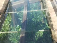 -东寨港红树林旅游区