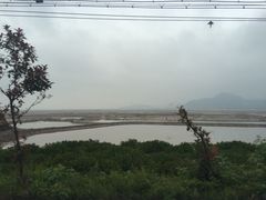 iphone_upload_pic-西门岛码头海鲜馆