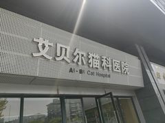 -艾贝尔宠物医院·24H转诊中心·肿瘤猫专科(江宁双龙店)