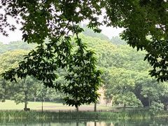 -杭州植物园