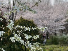 -闵行体育公园(七宝镇)