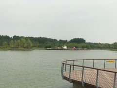 -东郊湿地公园