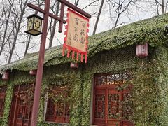 -合肥滨湖国家森林公园