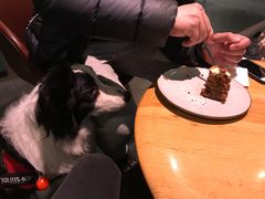 -Wagas沃歌斯(大学路店)