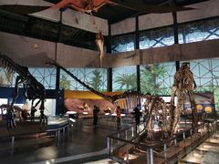 -湖南省地质博物馆