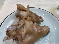 -丁老爷子苏香圆