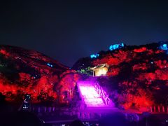 -印象普陀