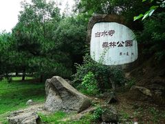 -白水寺森林公园