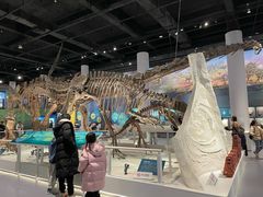 -国家自然博物馆