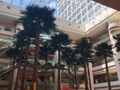 -威斯汀舞台餐厅