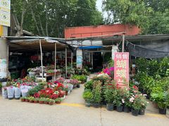 -金陵花卉交易市场