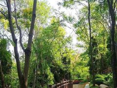 -南山健身公园