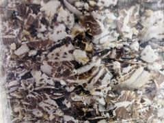 -青岛利群四方购物广场