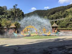 -西双版纳原始森林公园