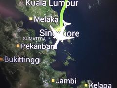 -新加坡航空公司(ION)