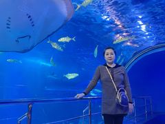 -太平洋海底世界