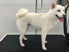 -comecome来吧宠物(奥克斯中心店)