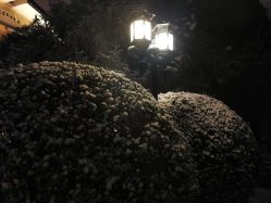 -钓鱼台国宾馆餐厅·宴会厅