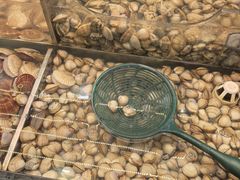 -盛江山自助料理(太原街万达店)