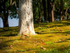 -梅州天地人花园酒店(梅县人民广场店)