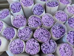 -昆明国际花卉拍卖交易中心