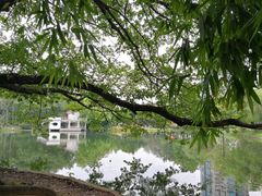 -晓港公园