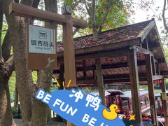 -同里国家湿地公园