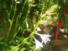 -天津盘山风景名胜区