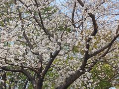 -昆山城市公园