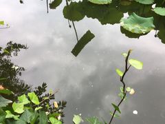 -月牙潭公园