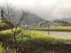 -新安江山水画廊风景区