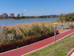 -鹤之洲湿地公园