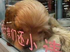 -FAELING PETS美天灵宠物(合生汇店)
