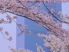 -西北湖绿化广场