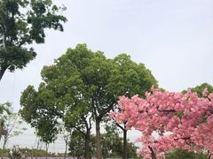 -上海杨姆庄园