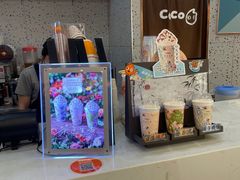 -CoCo都可(健翔桥店)