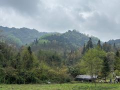 -龙窝子