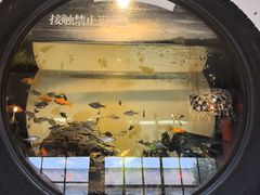 -陶野咖啡·面包披萨