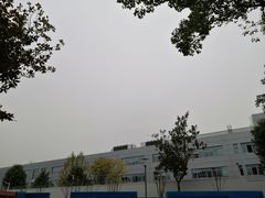 -成飞公园