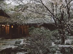 -中国茶叶博物馆(双峰馆区)
