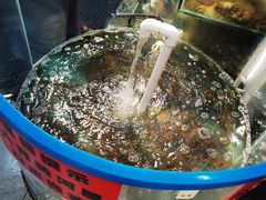 -仙螺岛海鲜自助餐厅(总店)