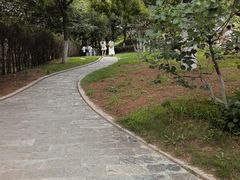 -刘公岛景区