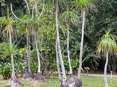 -中国科学院西双版纳热带植物园