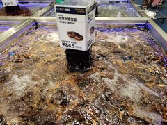 -盒马X会员店(上海森兰商都店)